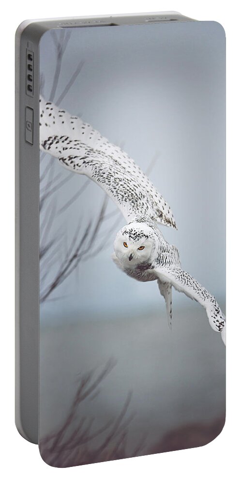 Wildlife Portable Battery Charger featuring the photograph Snowy Owl In Flight by Carrie Ann Grippo-Pike