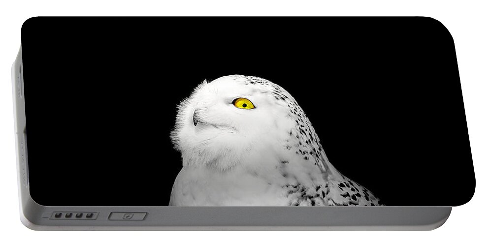 Animal Portable Battery Charger featuring the photograph Snowy Owl by Peter Lakomy