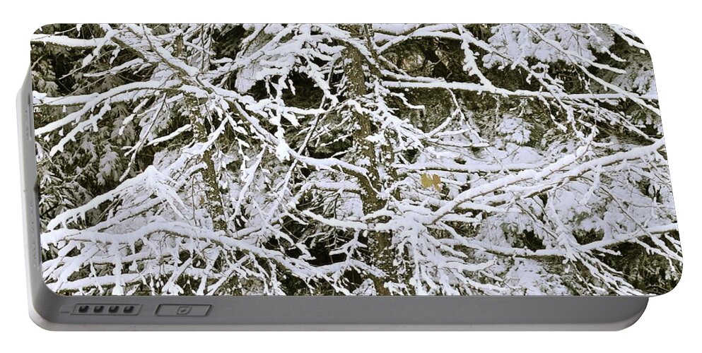 Snow Scene Portable Battery Charger featuring the photograph Snowy Tracery by Michele Myers