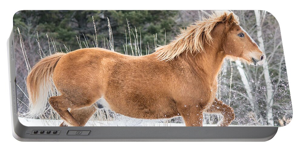 Horse Portable Battery Charger featuring the photograph Snowy Trot by Cheryl Baxter