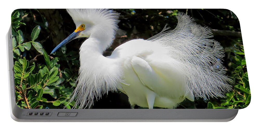 Snowy White Portable Battery Charger featuring the photograph Snowy White Egret Breeding Plumage by Jennie Breeze