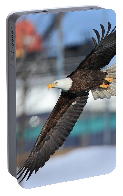 American Bald Eagle Portable Battery Charger featuring the photograph Soaring Eagle by Coby Cooper