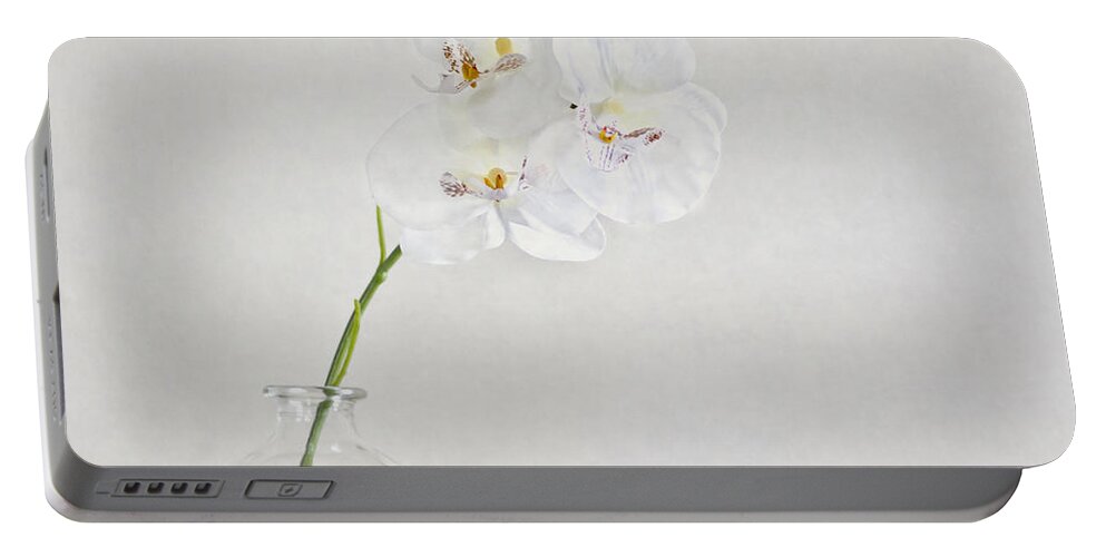 Flower Portable Battery Charger featuring the photograph Soft As A Whisper by Evelina Kremsdorf