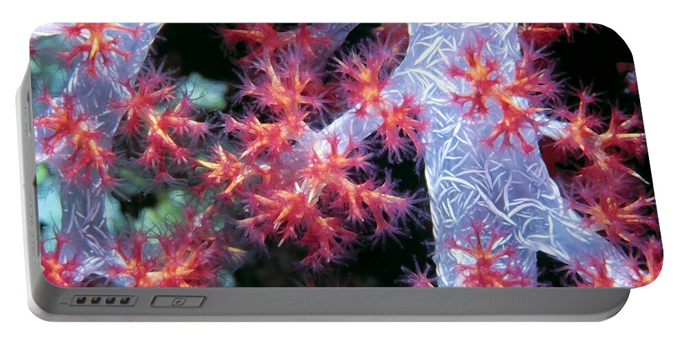 Micronesia Portable Battery Charger featuring the photograph Soft Corals 18 by Dawn Eshelman