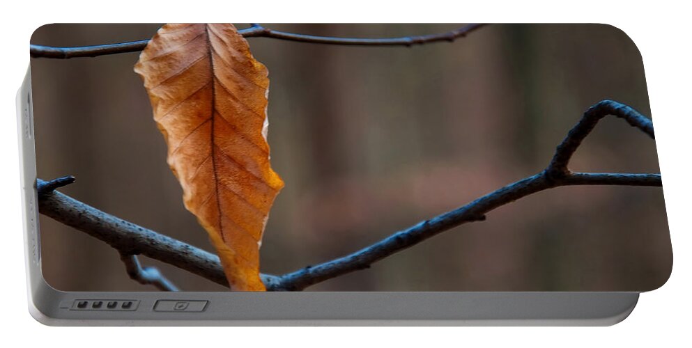 Flowers Portable Battery Charger featuring the photograph Solitary Leaf by Flees Photos