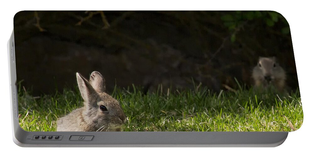 Rabbit Portable Battery Charger featuring the photograph Someone's Watching Me by Belinda Greb