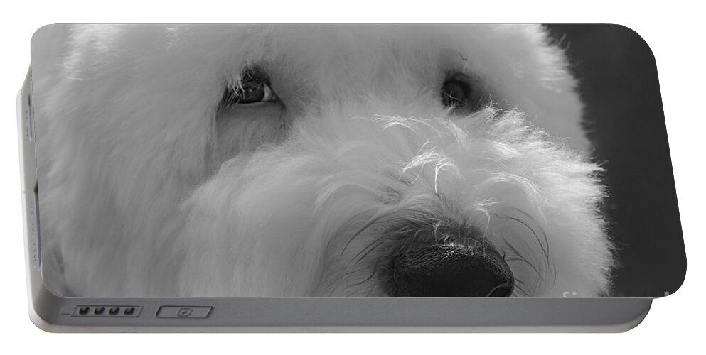 Old English Sheep Dog Portable Battery Charger featuring the photograph Soulful Eye's Old English Sheep Dog by Peggy Franz