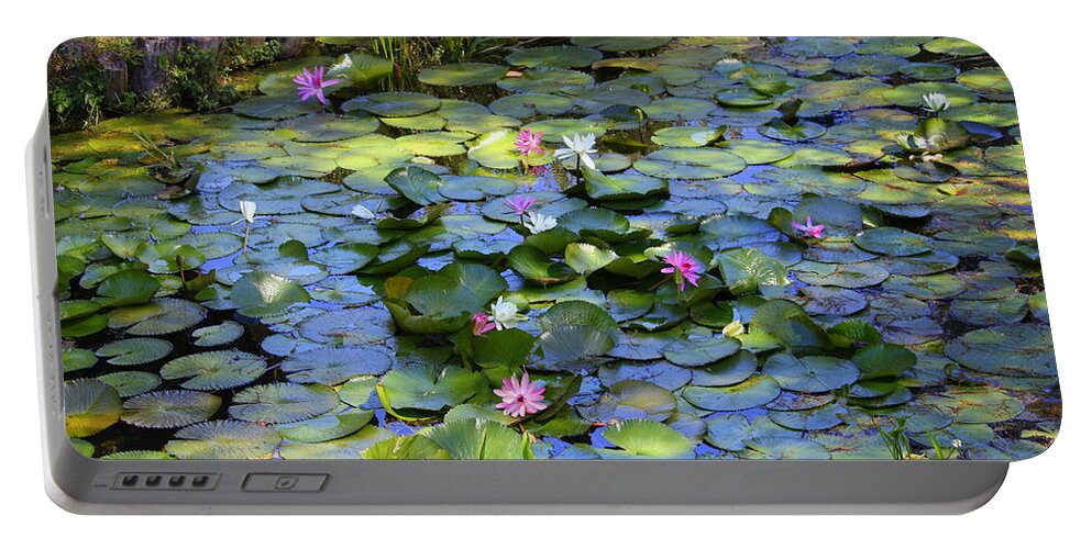 Lily Pond Portable Battery Charger featuring the photograph Southern Lily Pond by Carol Groenen