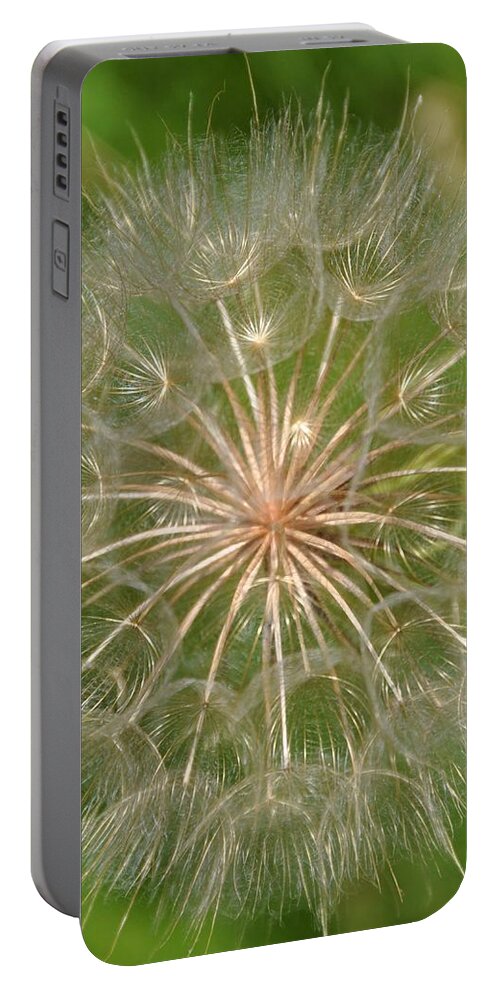 Sow Thistle Portable Battery Charger featuring the photograph Sow Thistle by Valerie Kirkwood