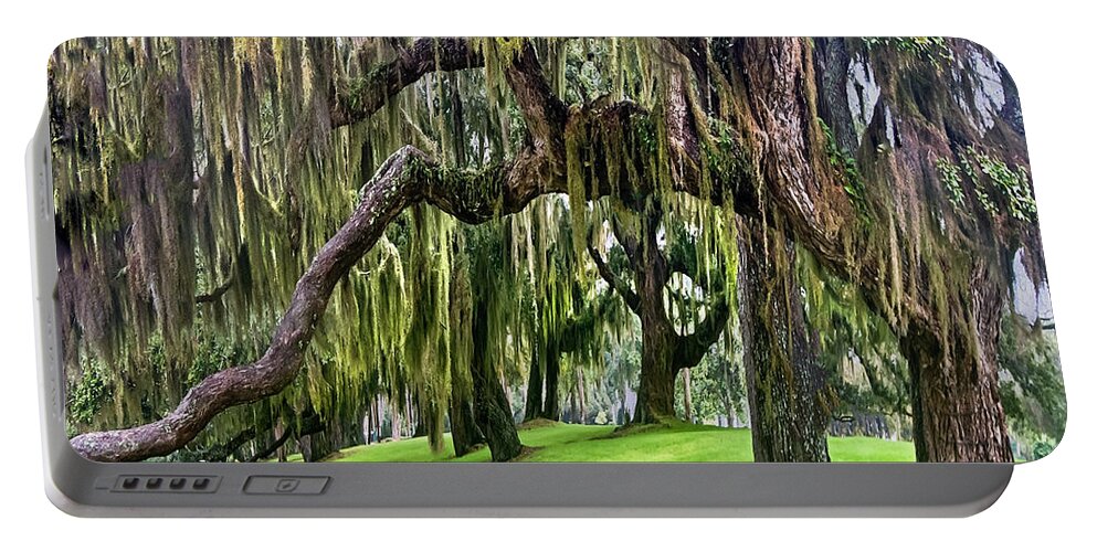 Georgia Portable Battery Charger featuring the photograph Spanish Moss by Debra and Dave Vanderlaan
