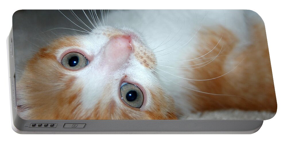 Kitten Portable Battery Charger featuring the photograph Spankie by Holly Blunkall