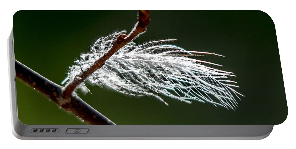 Bright Portable Battery Charger featuring the photograph Sparkly feather by Cheryl Baxter