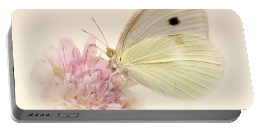 Cabbage White Butterflies Portable Battery Charger featuring the photograph Spellbinder by Betty LaRue