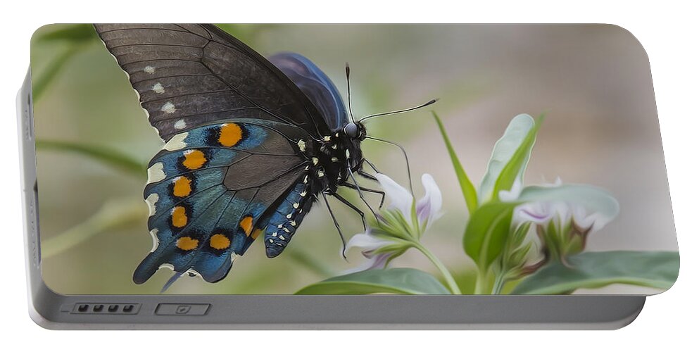 Insect Portable Battery Charger featuring the photograph Spicebush In Wildflowers by Bill and Linda Tiepelman