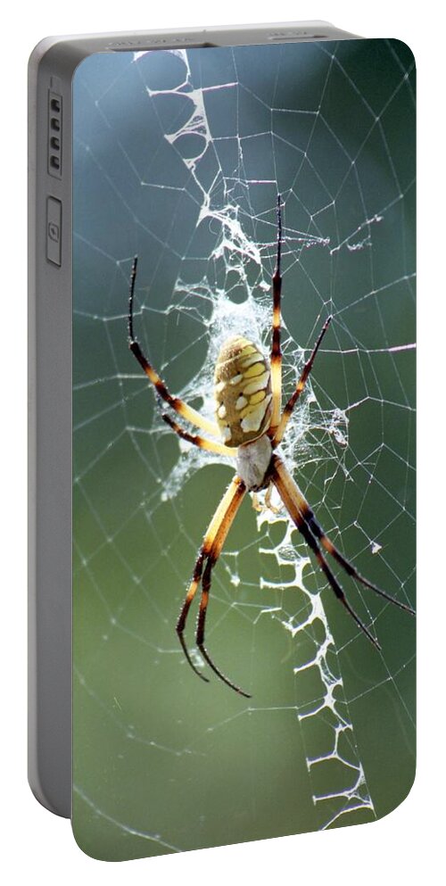 Spider Portable Battery Charger featuring the photograph Spider - Black and Yellow Argiope 04 by Pamela Critchlow