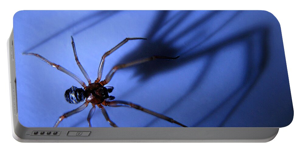 Spider Portable Battery Charger featuring the photograph Spider Blue by Jennie Breeze