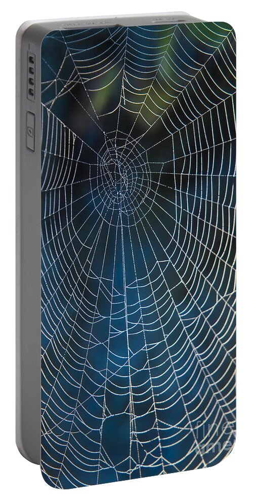 Spiderweb Portable Battery Charger featuring the photograph Spider's Net by Heiko Koehrer-Wagner
