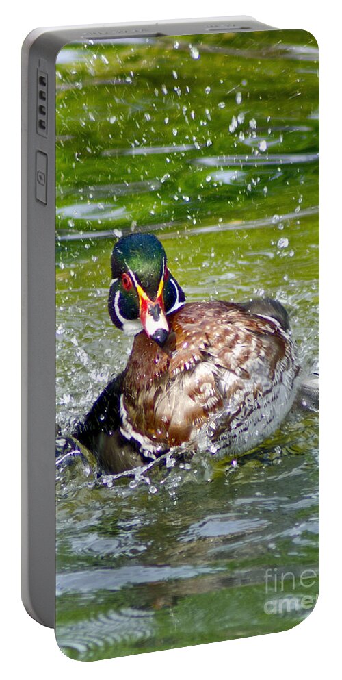 Wood Duck Portable Battery Charger featuring the photograph SPLASHDOWN - wood duck by Adam Olsen