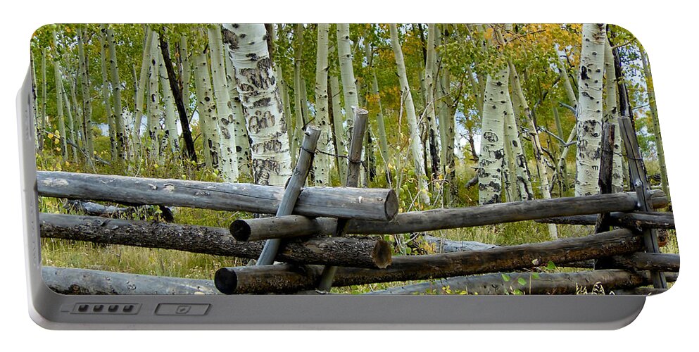 Colorado Photographs Portable Battery Charger featuring the photograph Splendor In The Woods by Gary Benson