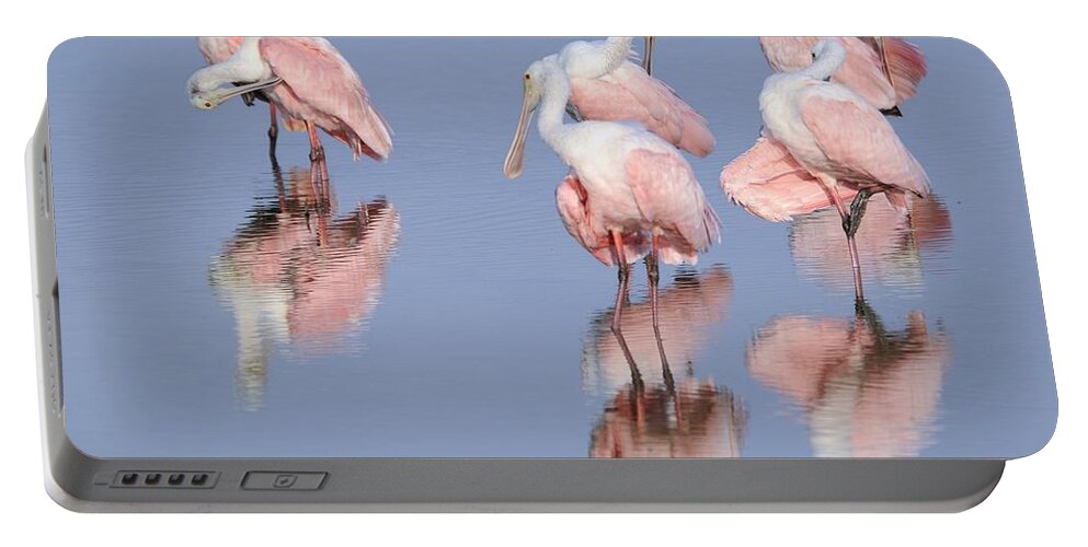 Roseate Spoonbills Portable Battery Charger featuring the photograph Spoonbills Preening by Bradford Martin