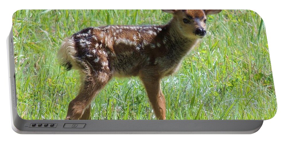 Fawn Portable Battery Charger featuring the photograph Spotted Fawn by Michele Penner