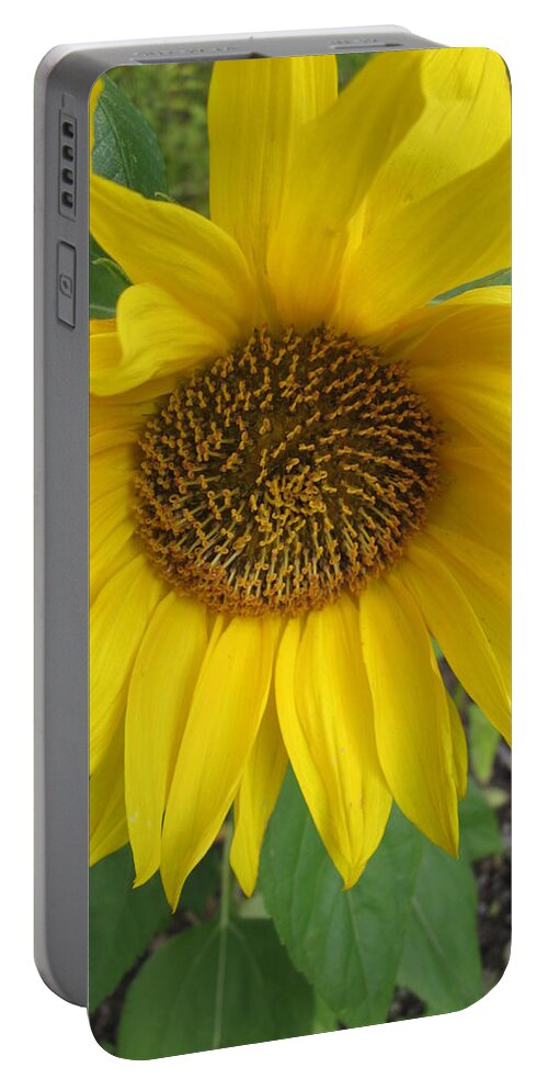 Daisy Portable Battery Charger featuring the photograph Sprawling by Rosita Larsson