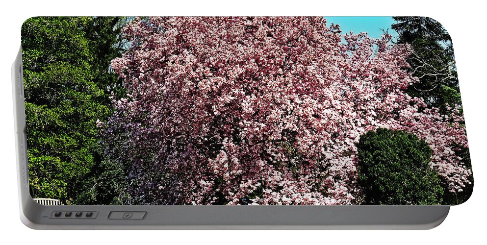 Travel Portable Battery Charger featuring the photograph Spring at Monticello by Elvis Vaughn