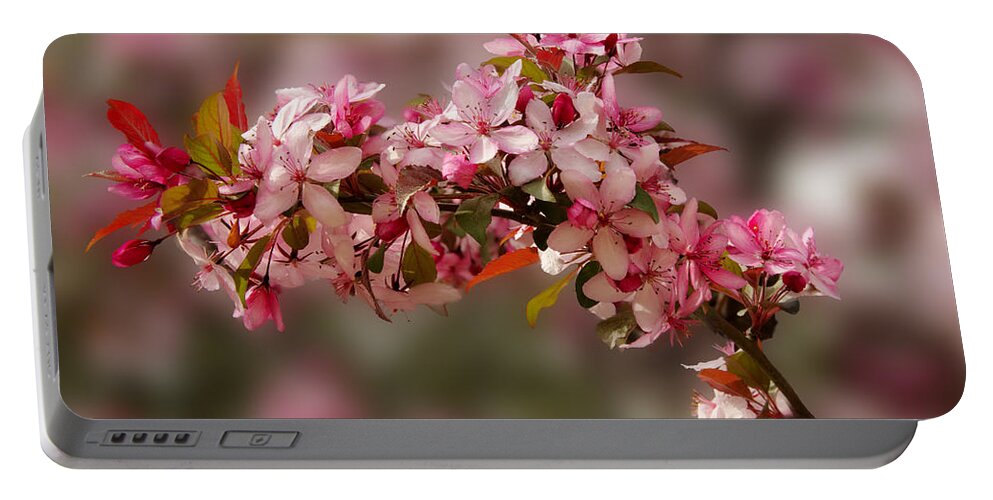 April Portable Battery Charger featuring the photograph Cheery Cherry Blossoms by Penny Lisowski