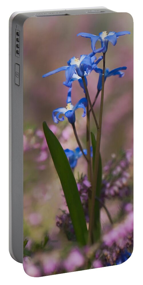 Blue Portable Battery Charger featuring the photograph Spring Of Blues by Jean-Pierre Ducondi