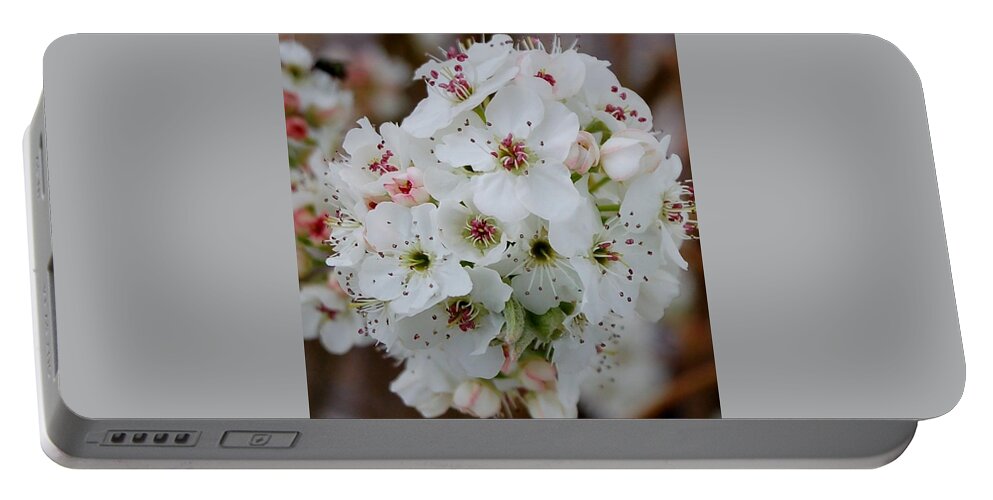 Flowers Portable Battery Charger featuring the photograph Spring by Christopher James