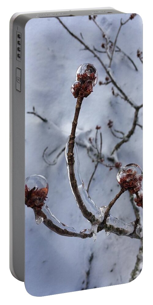Spring Portable Battery Charger featuring the photograph Spring Encased by Steve Sommers
