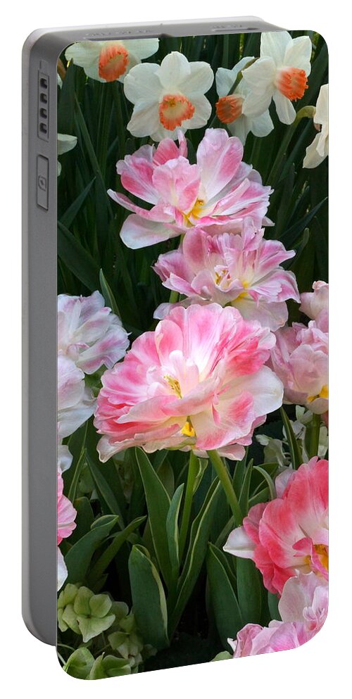Peony Tulips And Daffodils Portable Battery Charger featuring the photograph Spring Fling tall view by Byron Varvarigos
