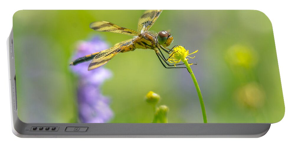 Halloween Pennant Dragonfly Portable Battery Charger featuring the photograph Spring Halloween Pennant by Cheryl Baxter