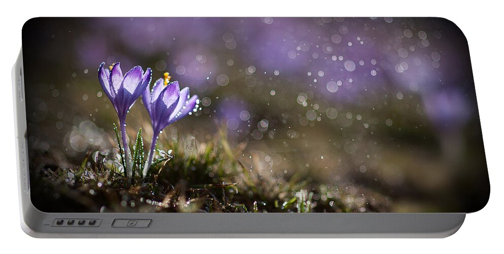 Spring Portable Battery Charger featuring the photograph Spring impression I by Jaroslaw Blaminsky