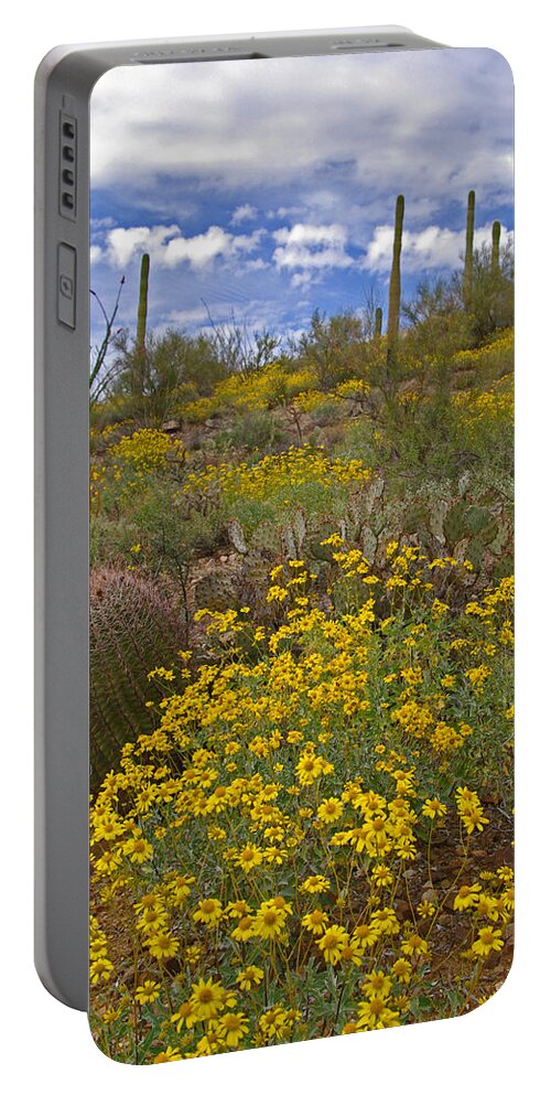 Spring Portable Battery Charger featuring the photograph Spring in the Desert by Will Wagner