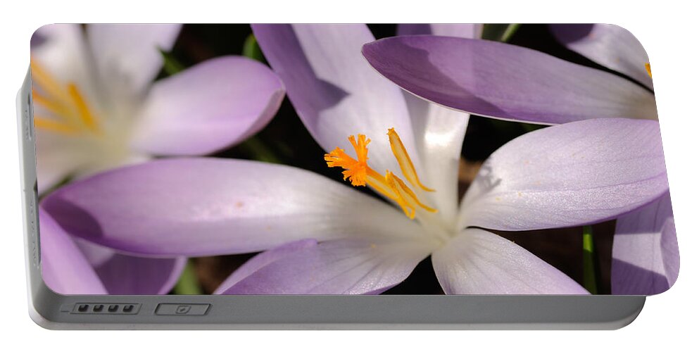 Spring Portable Battery Charger featuring the photograph Spring is Here by Miguel Winterpacht