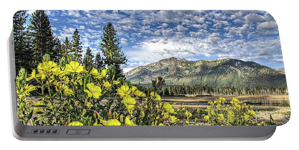 Landscape Portable Battery Charger featuring the photograph Spring Meadow by Maria Coulson
