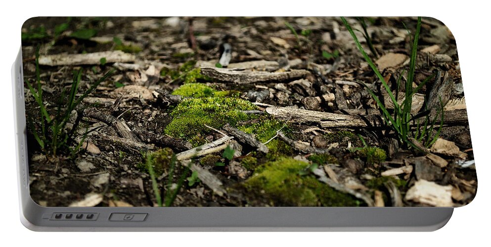 Grass Portable Battery Charger featuring the photograph Spring Moss by Jim Shackett
