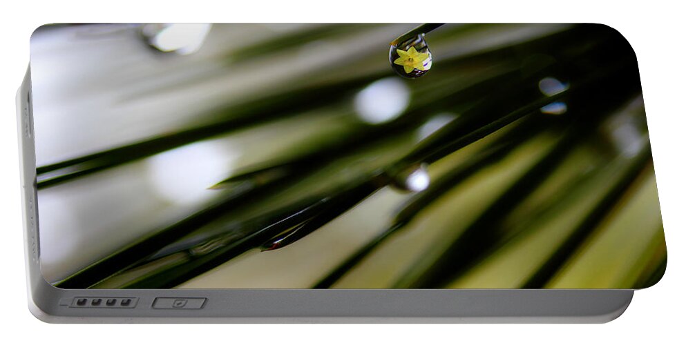 Pine Needles Portable Battery Charger featuring the photograph Spring Rain On The Pines by Michael Eingle