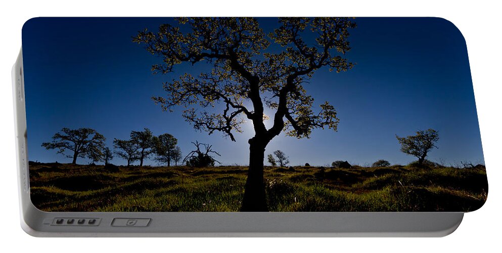 Tree Portable Battery Charger featuring the photograph Spring Tree by Robert Woodward