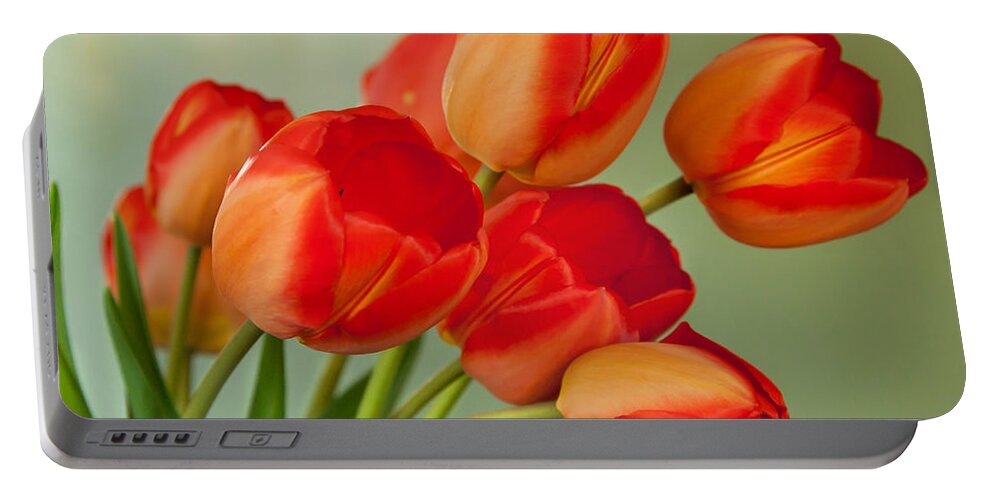  Portable Battery Charger featuring the photograph Spring Tulips by Courtney Webster
