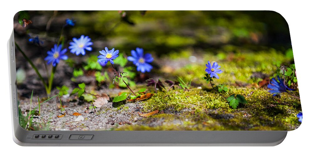 Jenny Rainbow Fine Art Photography Portable Battery Charger featuring the photograph Spring Wild Flowers by Jenny Rainbow