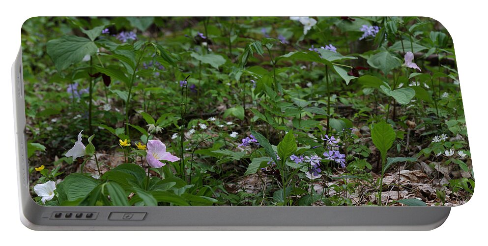 Spring Wildflowers Along Panther Branch Trail Portable Battery Charger featuring the photograph Spring Wildflowers Along Panther Branch Trail Frozen Head Tennessee State Park Tennessee by Daniel Reed