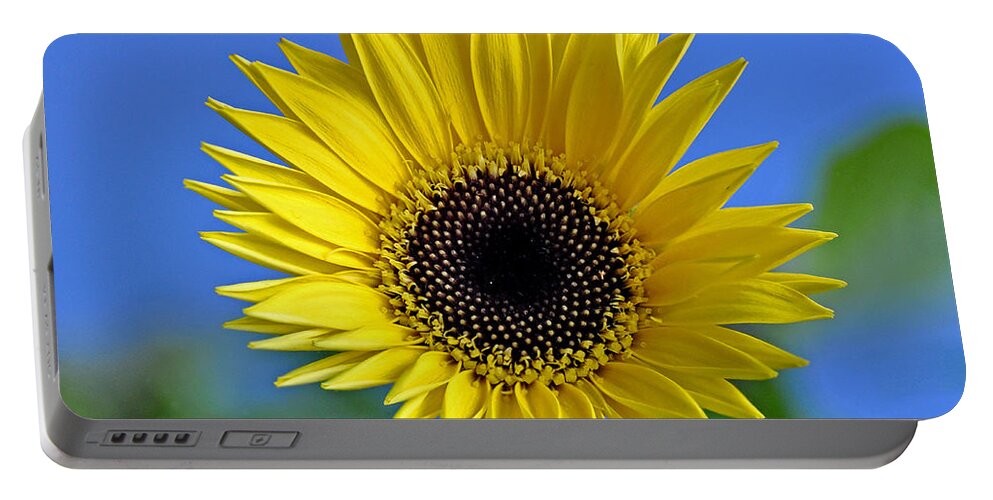 Flower Portable Battery Charger featuring the photograph Spring's Promise by Rodney Campbell
