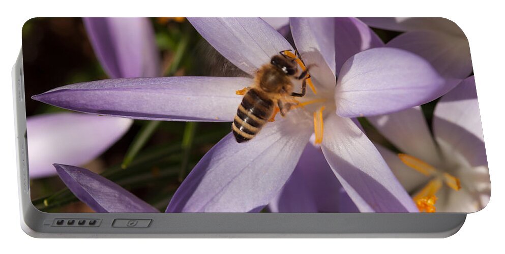 Spring Portable Battery Charger featuring the photograph Spring's Welcome by Miguel Winterpacht