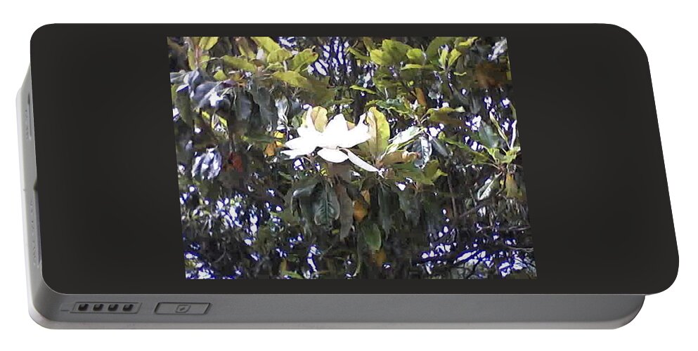Spring Flowers Portable Battery Charger featuring the photograph Springtime Magnolia by Suzanne Berthier