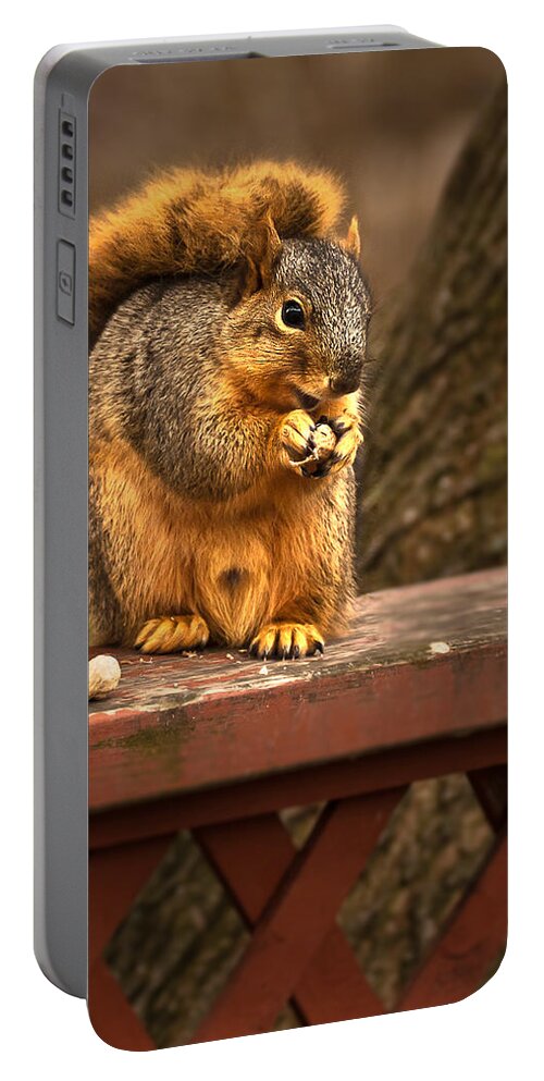 Eastern Fox Squirrel Portable Battery Charger featuring the photograph Squirrel Eating a Peanut by Onyonet Photo studios