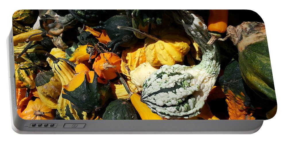Harvest Portable Battery Charger featuring the photograph Squish Squash by Caryl J Bohn