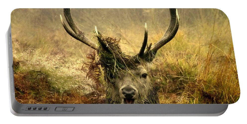 Deer Portable Battery Charger featuring the photograph Stag Party The Series. One More For The Road by Linsey Williams