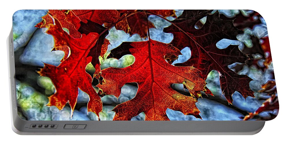 Fall Colors Canvas Print Portable Battery Charger featuring the photograph Stained Glass by Lucy VanSwearingen
